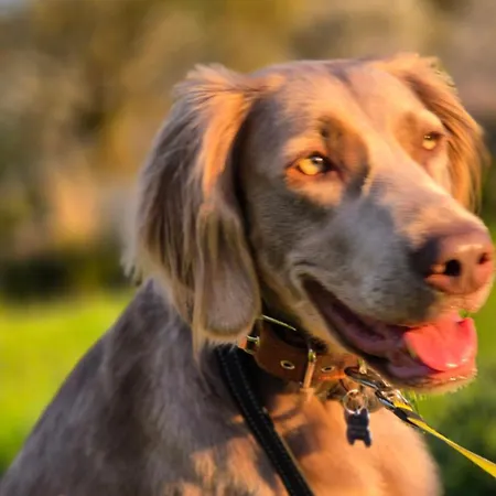Souterrain, Eigener Eingang Apartment *