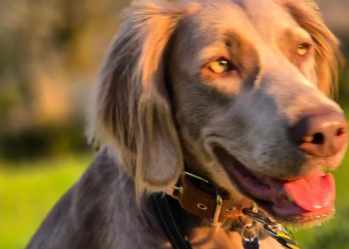 Souterrain, Eigener Eingang 公寓 *